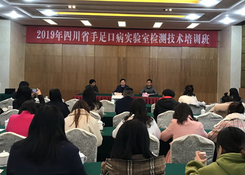 四川省疾控中心在內江成功舉辦手足口病實驗室檢測技術培訓.JPG