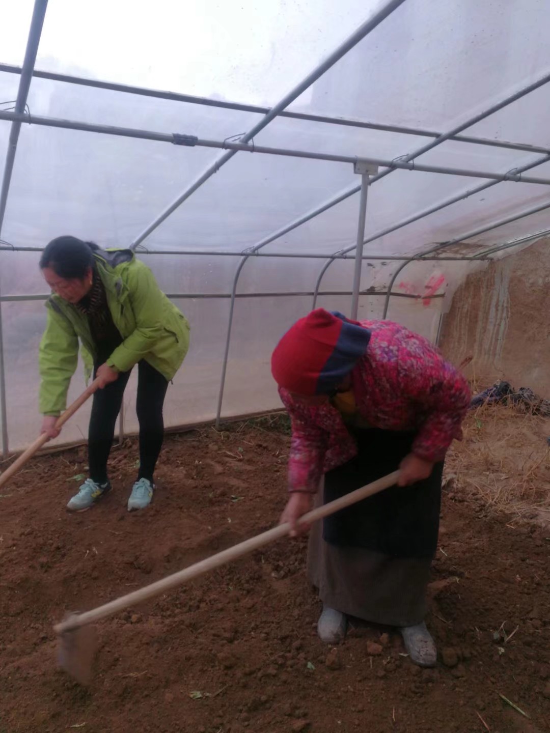 種植業技術指導.jpg