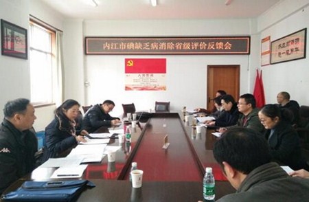內(nèi)江市碘缺乏病消除鞏固工作獲省級專家組好評.jpg