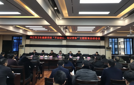 內江市衛生健康系統“不忘初心·牢記使命”主題教育總結會召開.jpg