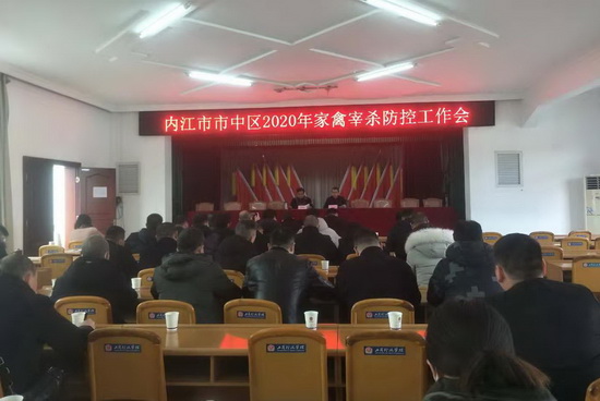 市中區召開家禽宰殺防控工作會.jpg