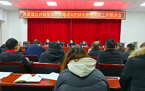 召開疫情防控工作推進會.jpg