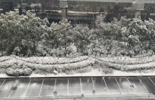 范蕓八.jpg