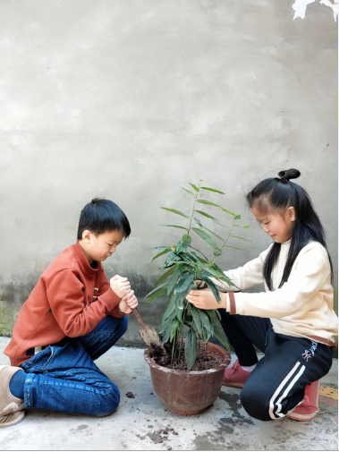 QQ圖片20200313094440.png