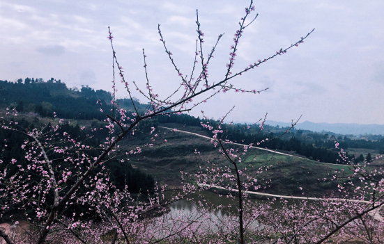 QQ圖片20200314121056.png