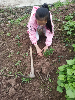 QQ圖片20200325094025.png