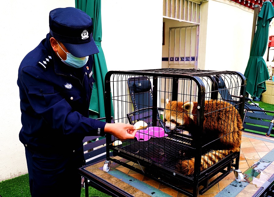 民警喂食一個字“香”.jpg