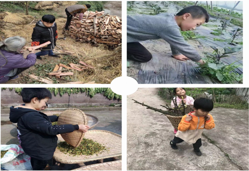 QQ圖片20200405105500.png
