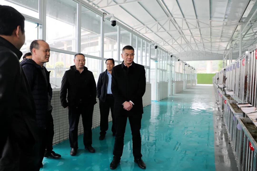 微信圖片_20200404200309.jpg