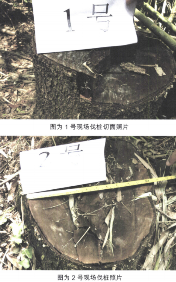 QQ圖片20200409092257.png
