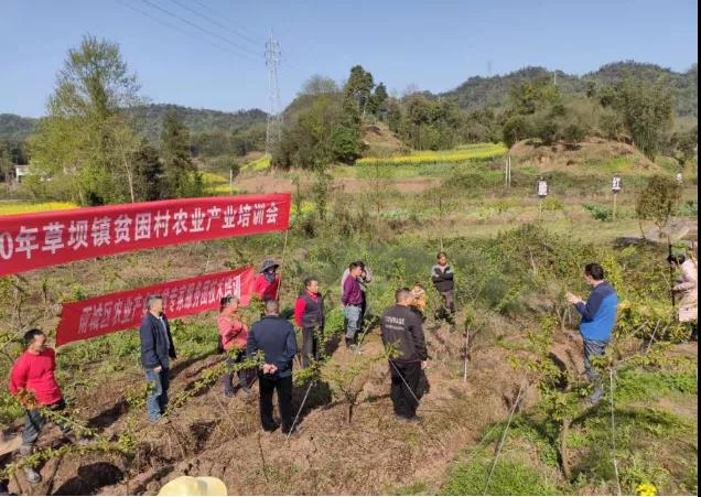 農業科技特派員到草壩鎮進行春耕生產技術指導.jpg