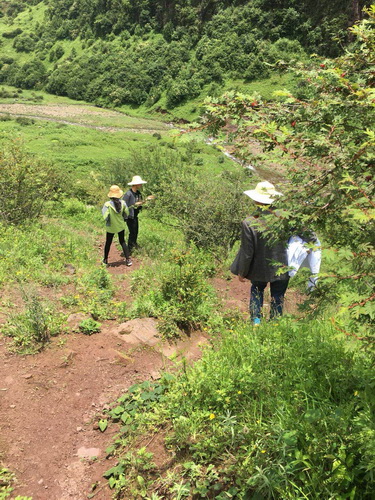 2019年7月，到農(nóng)村預(yù)防接種，來回走山路5個多小時.jpg