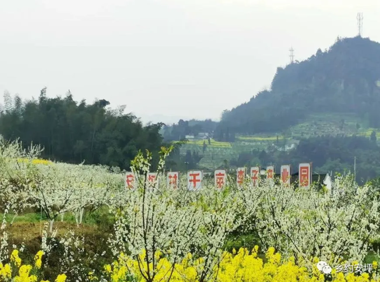 QQ圖片20200429143412.png