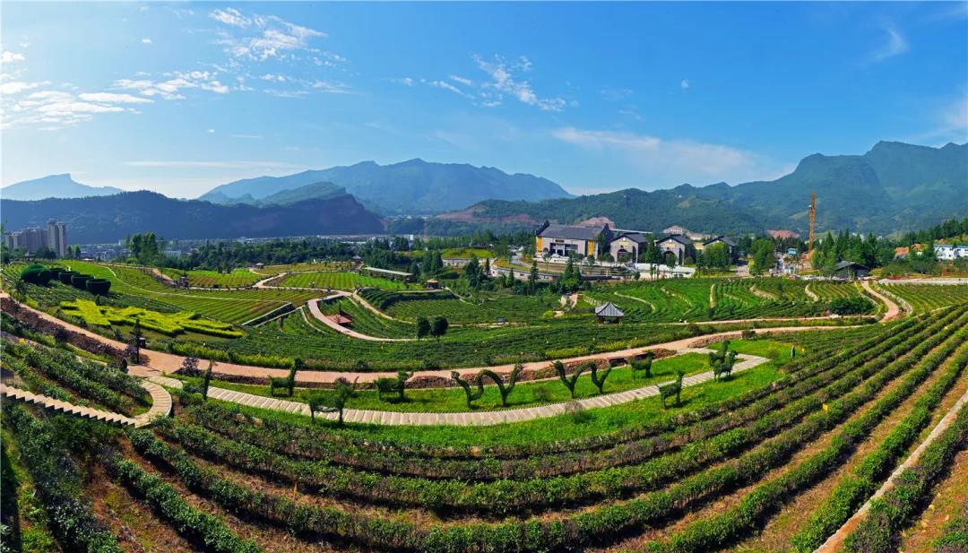 農(nóng)旅融合——中國(guó)藏茶村.jpg