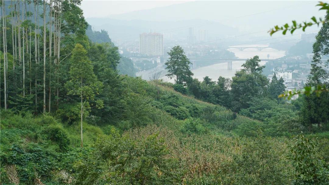 五營溝泥石流地質(zhì)災(zāi)害隱患點_wps圖片.jpg