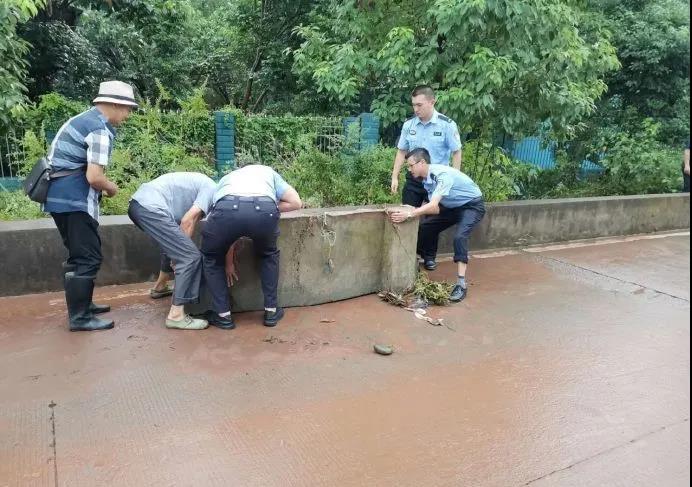 雨城公安_wps圖片.jpg