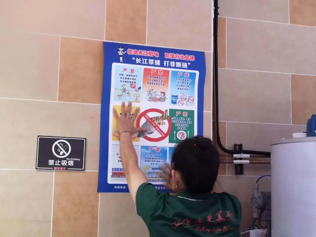 張貼宣傳海報.jpg