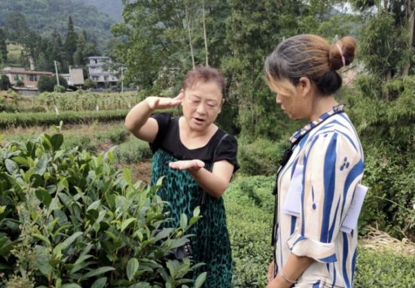 杜紅（左）教授茶農(nóng)技巧.jpg