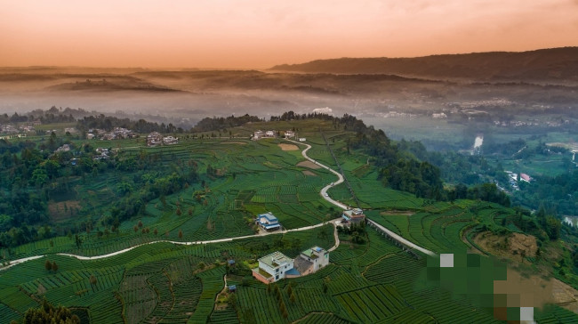 草壩鎮(zhèn)內(nèi)的產(chǎn)業(yè)道路.jpg