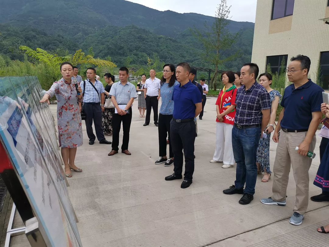 雨城區(qū)人大常委會組織開展醫(yī)養(yǎng)服務(wù)能力建設(shè)情況調(diào)研.png