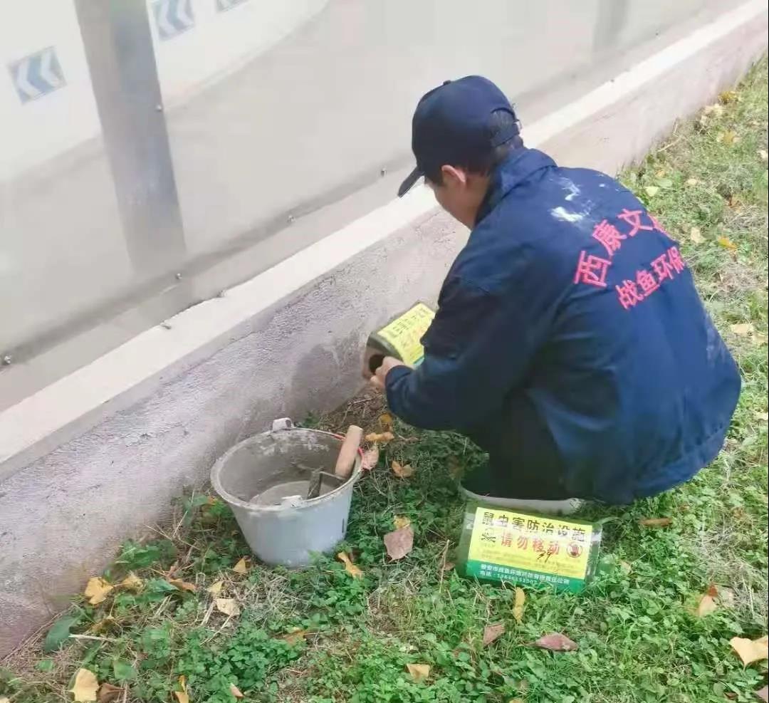 工作人員在安放毒餌盒.jpg