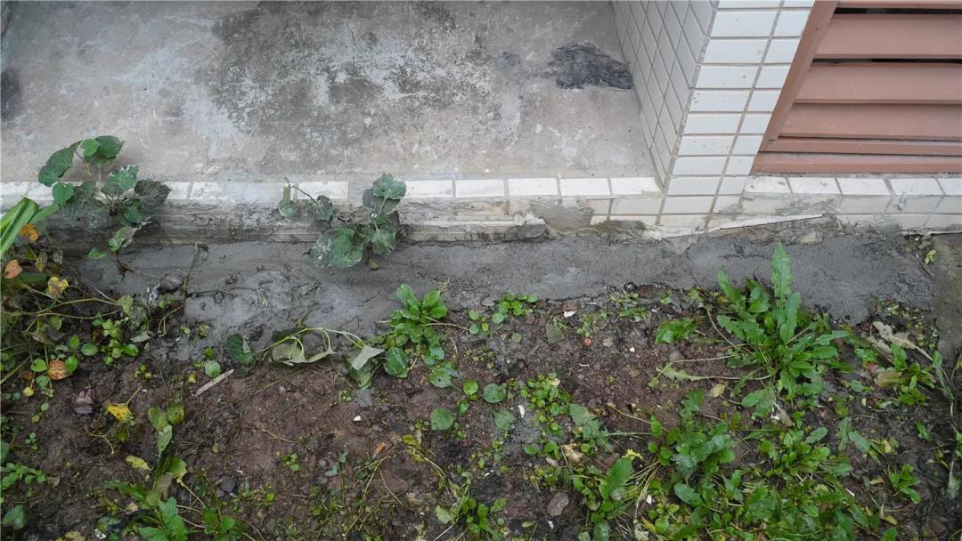 微信圖片_20201118135012.jpg