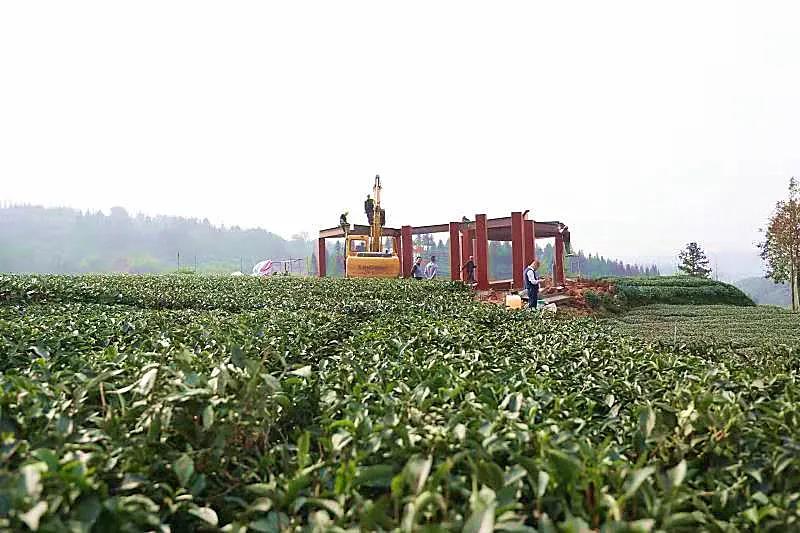 微信圖片_20201119100244.jpg
