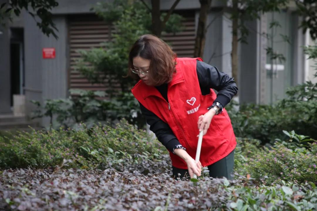 區(qū)委常委、宣傳部部長王述蓉.jpg