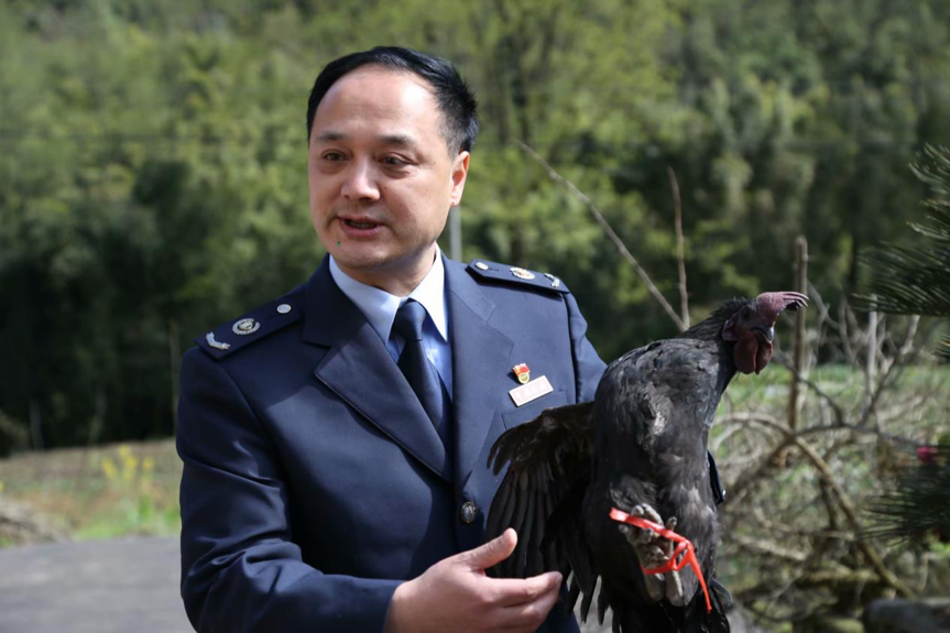 望魚鎮大溪村第一書記黃昌運在宣傳推介大溪村土特產五黑雞.png