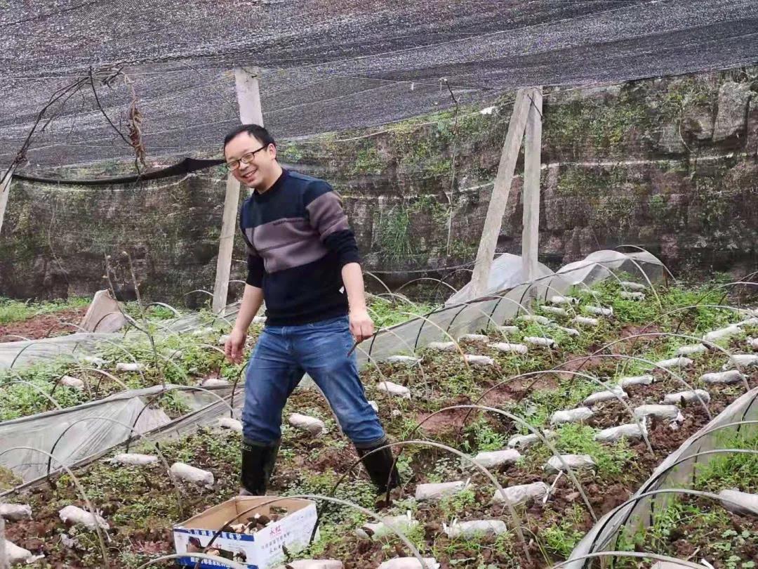 周公山鎮漆樹村第一書記任樂強.jpg