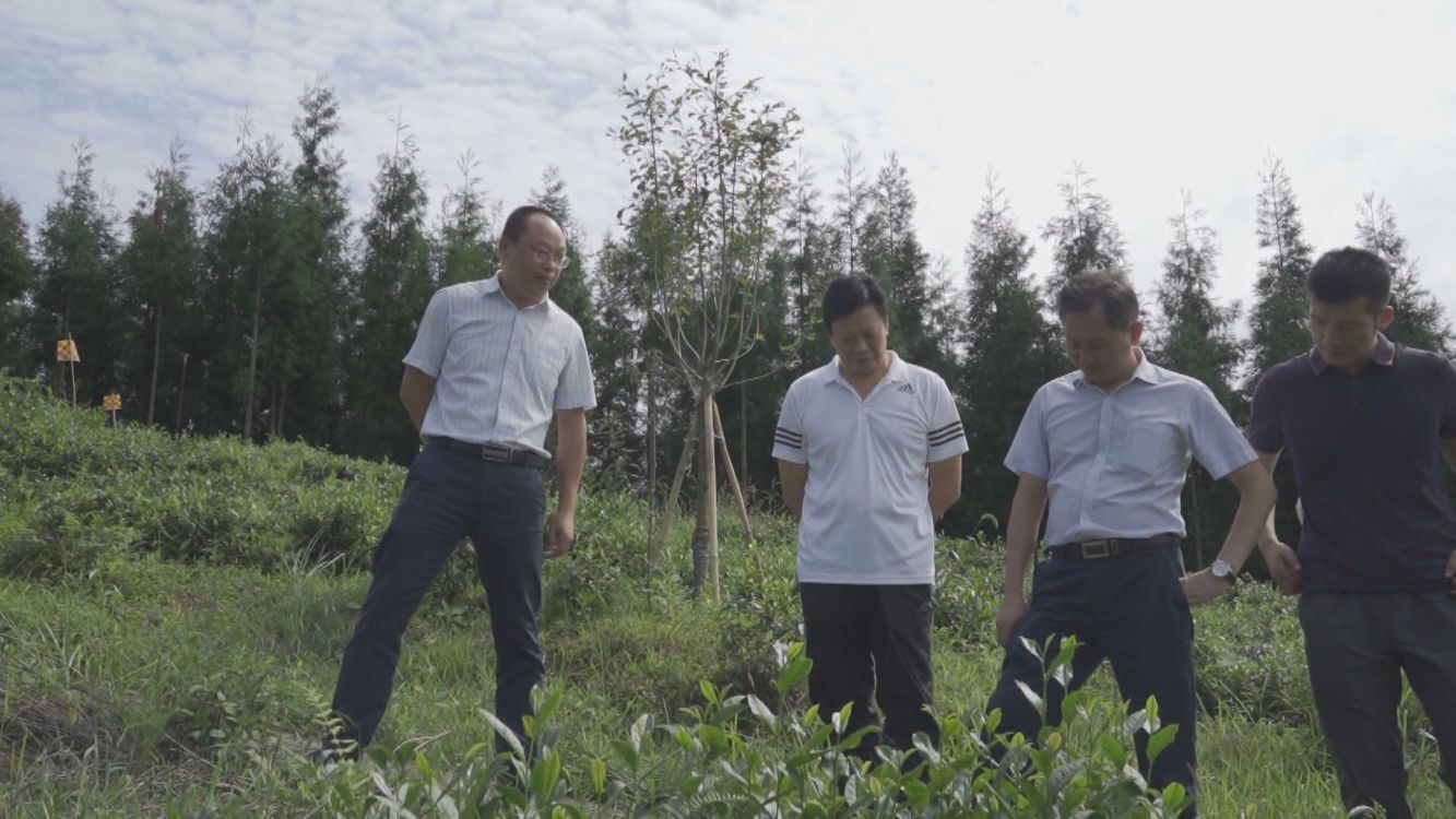 圖片3.png