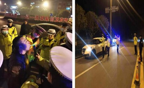 金鵝圖三.jpg