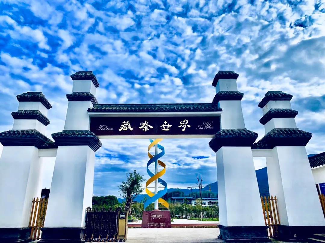 農業園區農科一路雅安茶廠外的牌坊.jpg