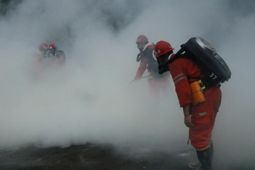 撲火二.jpg