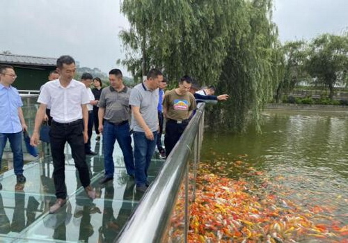 肖敏調研一.jpg