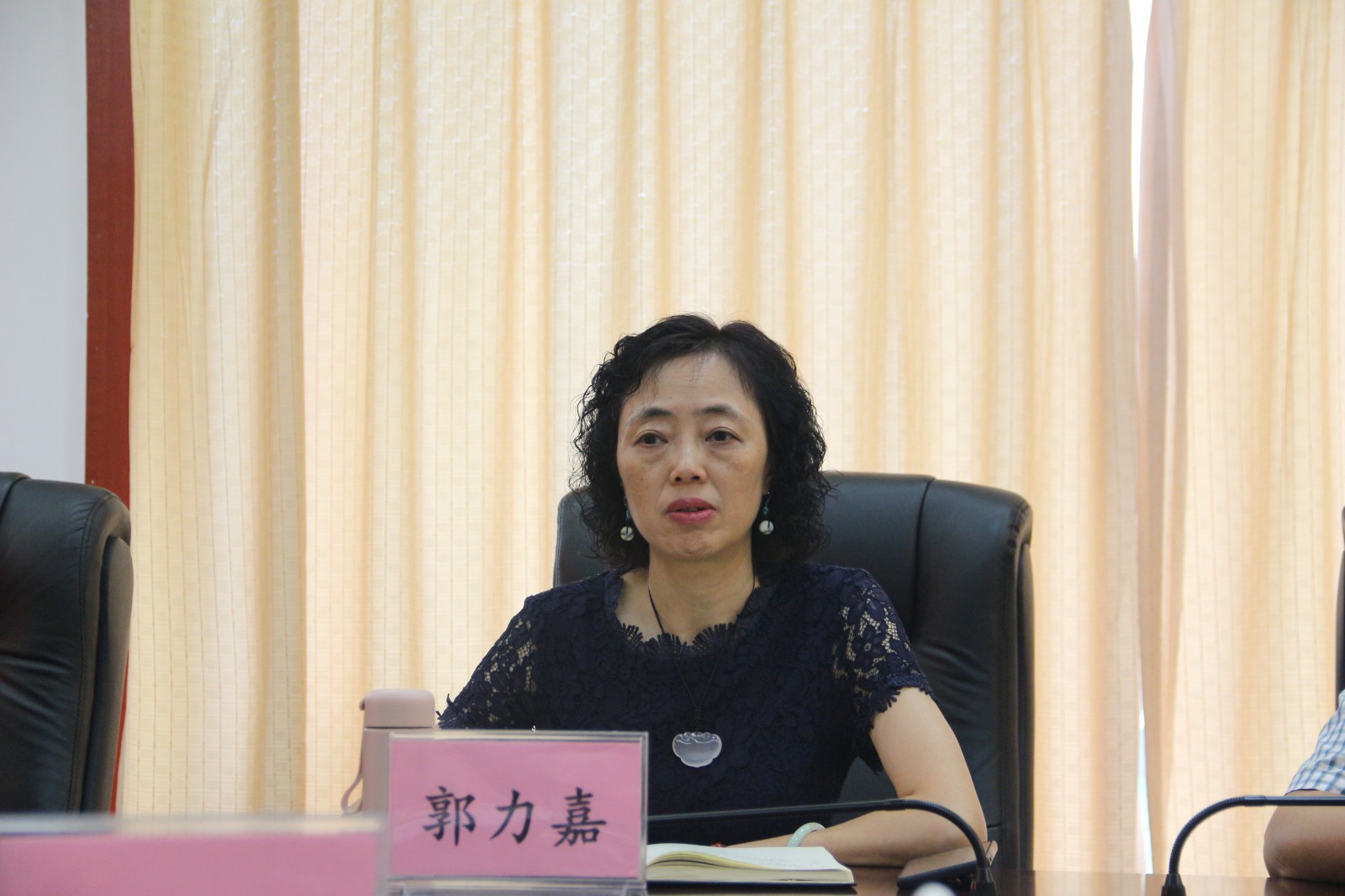 圖片2：四川省政法隊(duì)伍教育整頓第十二駐點(diǎn)指導(dǎo)組法院現(xiàn)場指導(dǎo)專班負(fù)責(zé)人郭力嘉.JPG