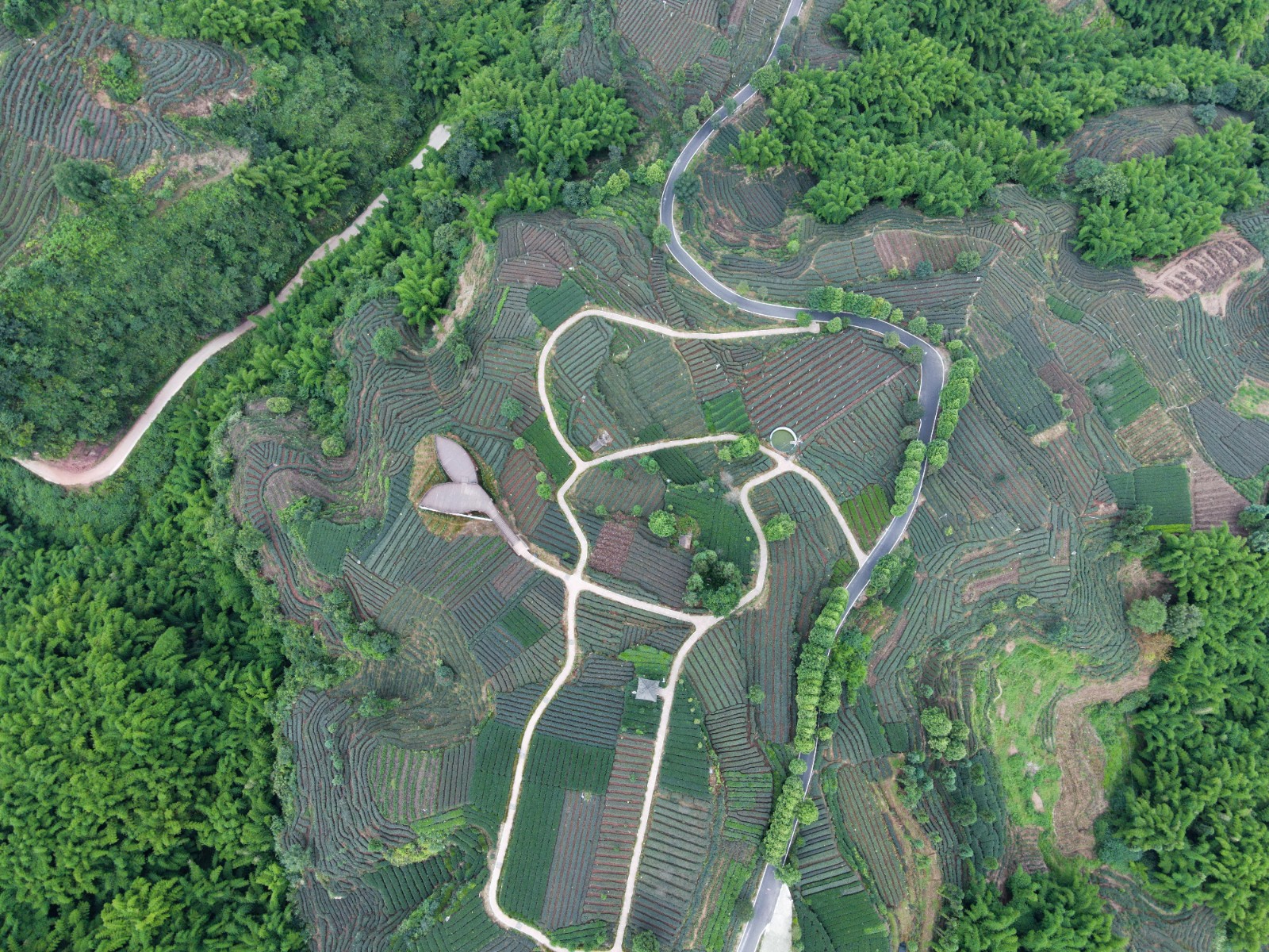 云臺山國家農業(yè)公園2.jpg