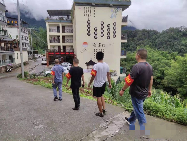 黨員志愿者走村入戶開展便民服務.jpg