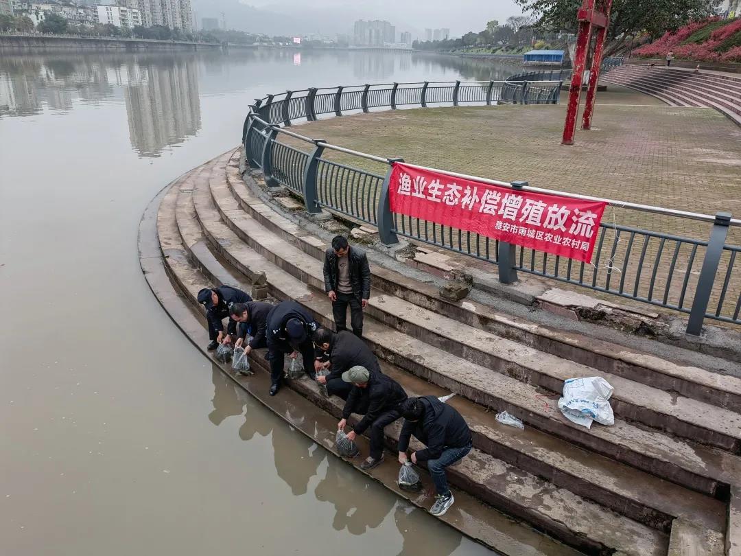 開展涉漁行政處罰人員生態補償增殖放流.jpg
