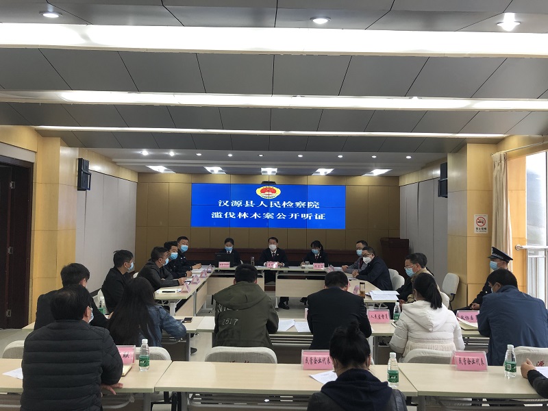 盜伐林木公開聽證.jpg