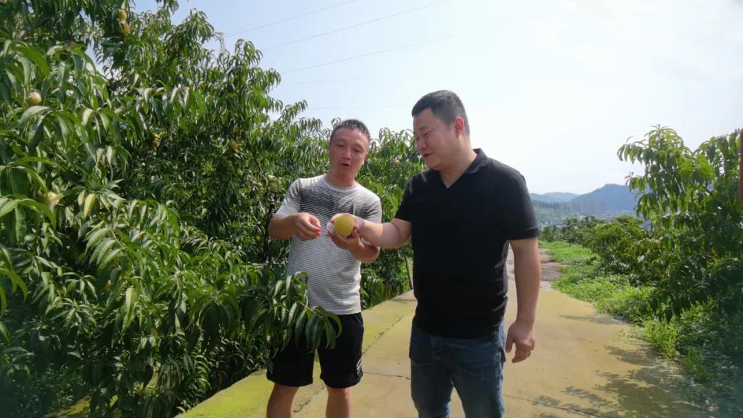 現場圖片1.jpg