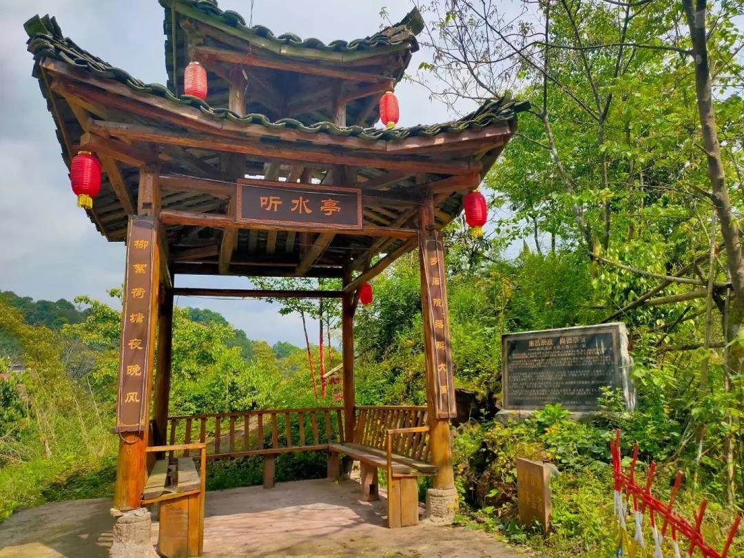現場圖片3.jpg