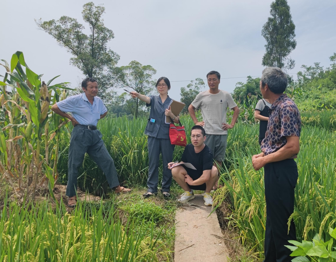 圖為法官冒高溫勘驗土地.jpg