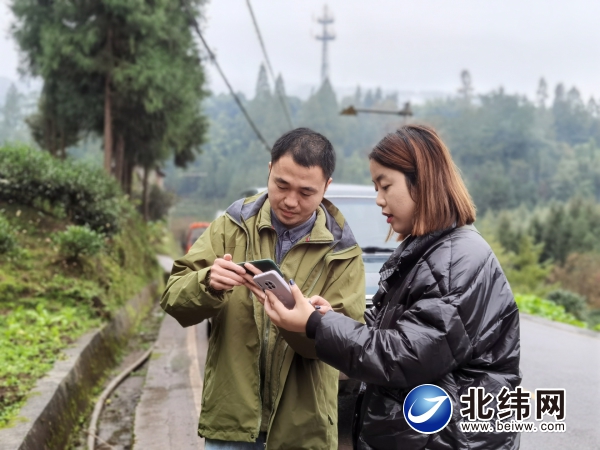 工作人員現場核實批準采伐的林地位置.jpg