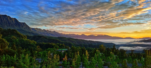 通過世行貸款項目，碧峰峽景區內森林質量得到提升.jpg