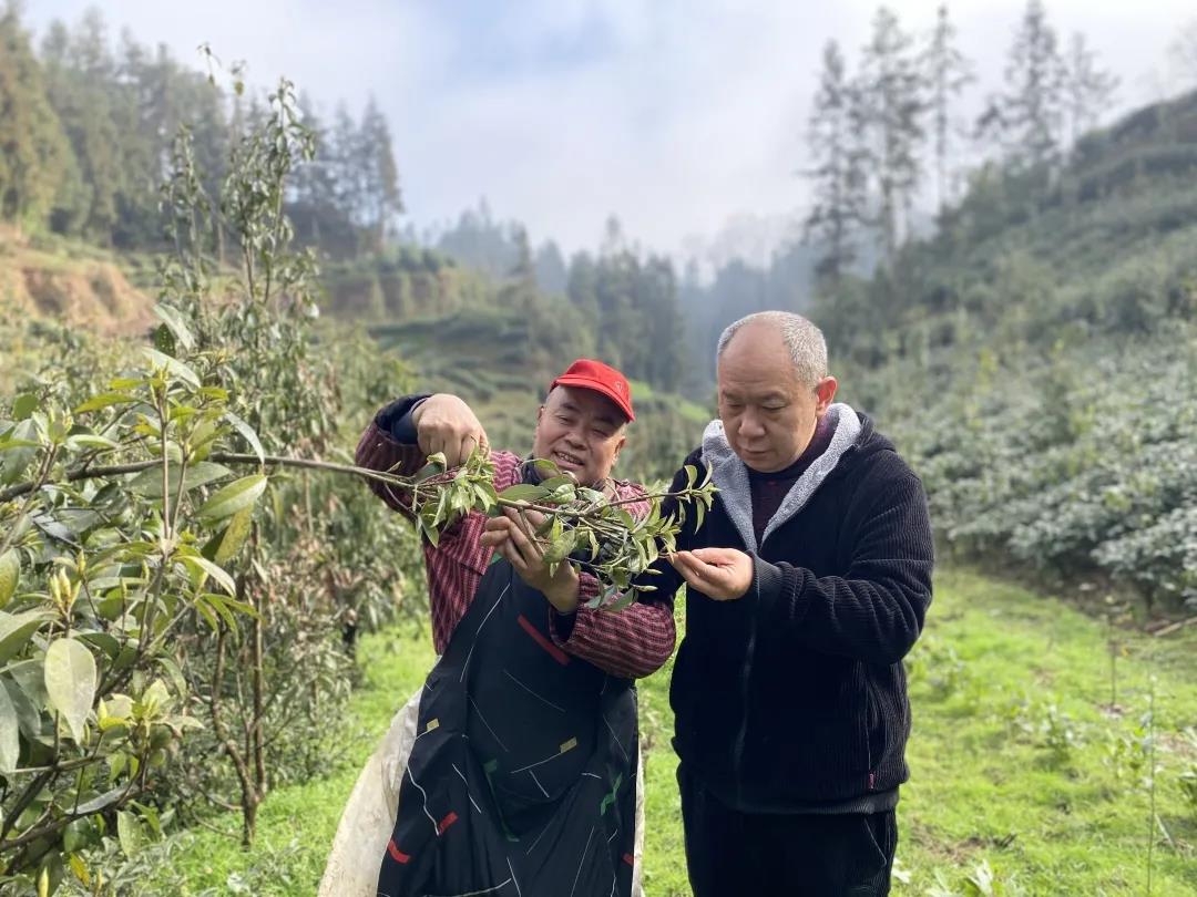 何國彬（右）與村民交流老鷹茶產業發展方向.jpg