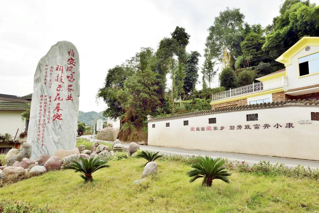 圖片3.jpg