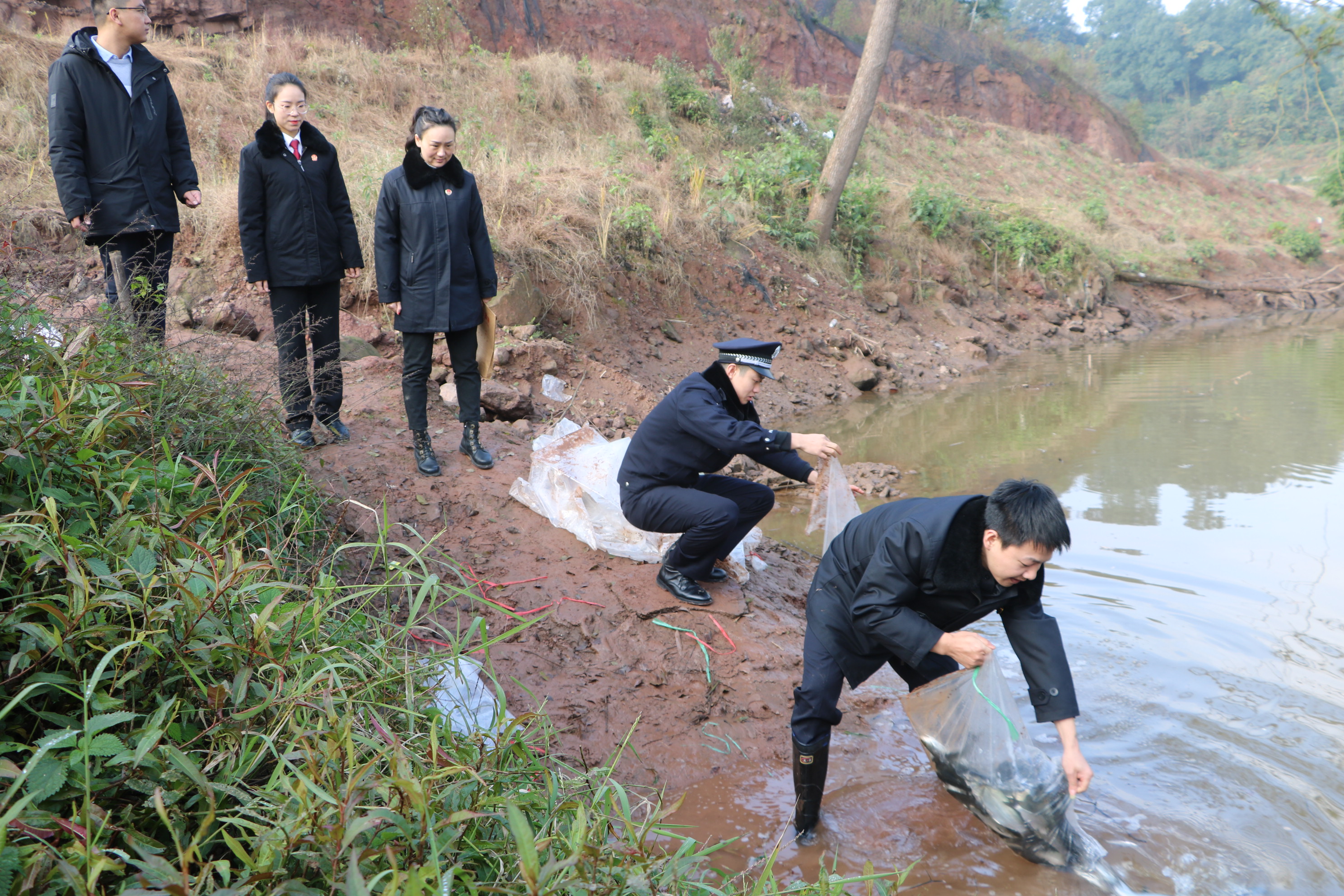 2020.12.8投放魚(yú)苗修復(fù)長(zhǎng)江流域生態(tài)環(huán)境.JPG