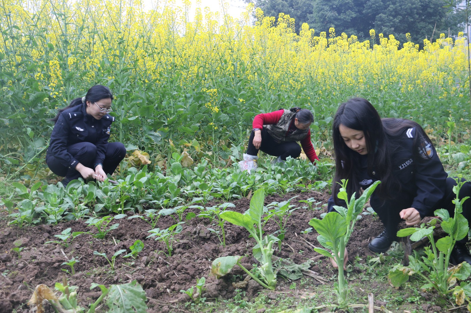 民警幫助留守老人干農(nóng)活.jpg