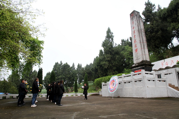 順河鎮黨員干部正在祭奠革命烈士.jpg